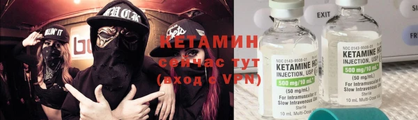 стаф Аркадак