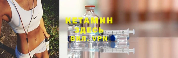 стаф Аркадак