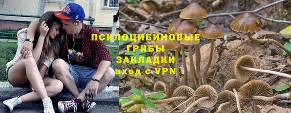 кристаллы Алзамай
