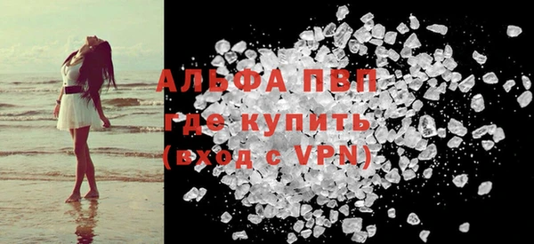 стаф Аркадак