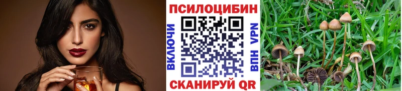 Галлюциногенные грибы мухоморы купить цена Петропавловск-Камчатский